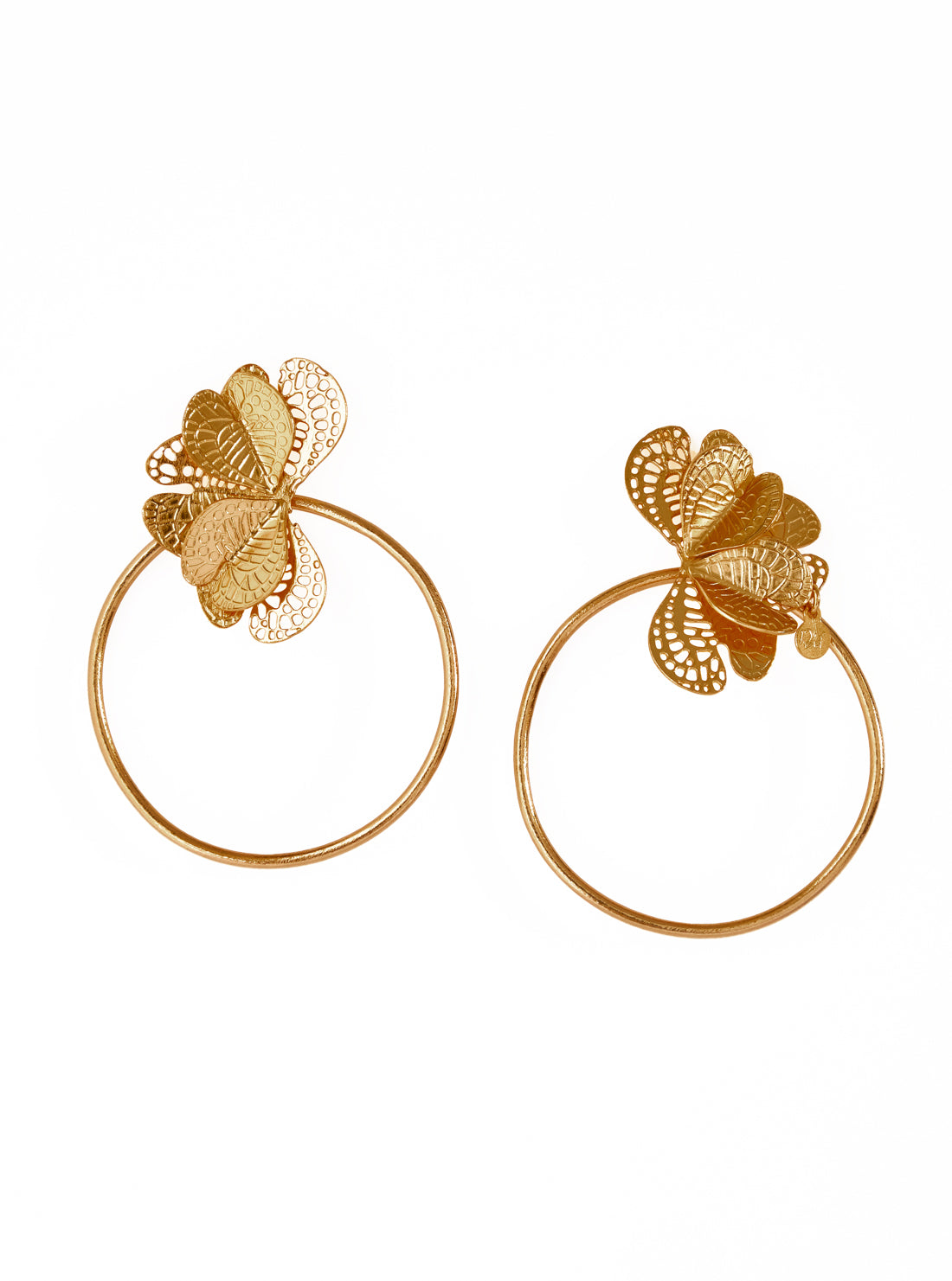 Hoops Petunia
