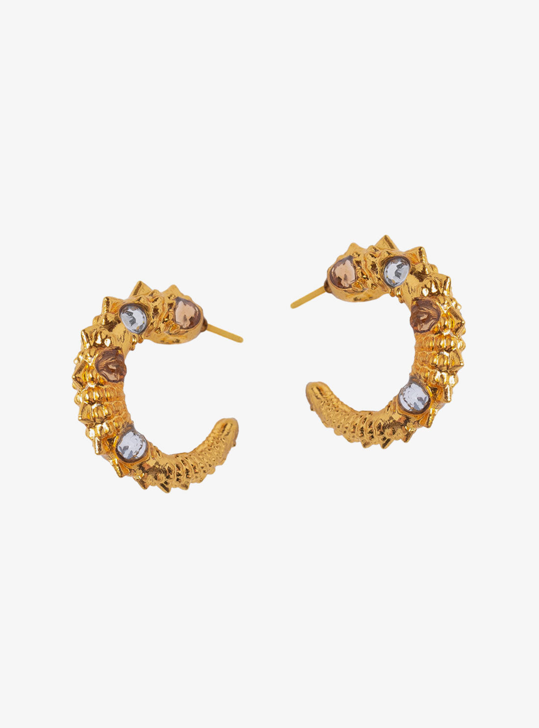Hoops Camaleon