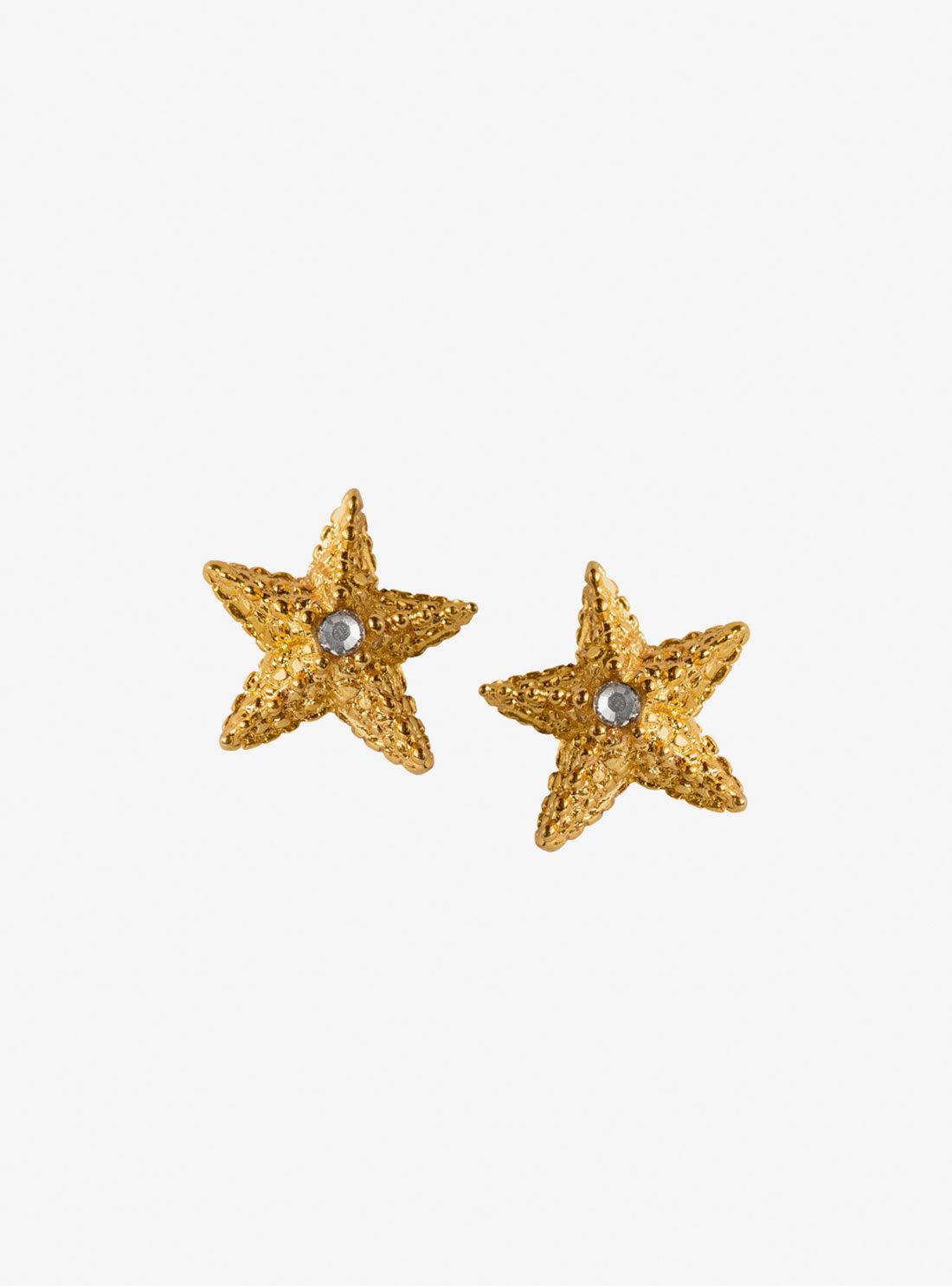 Aretes Nieves