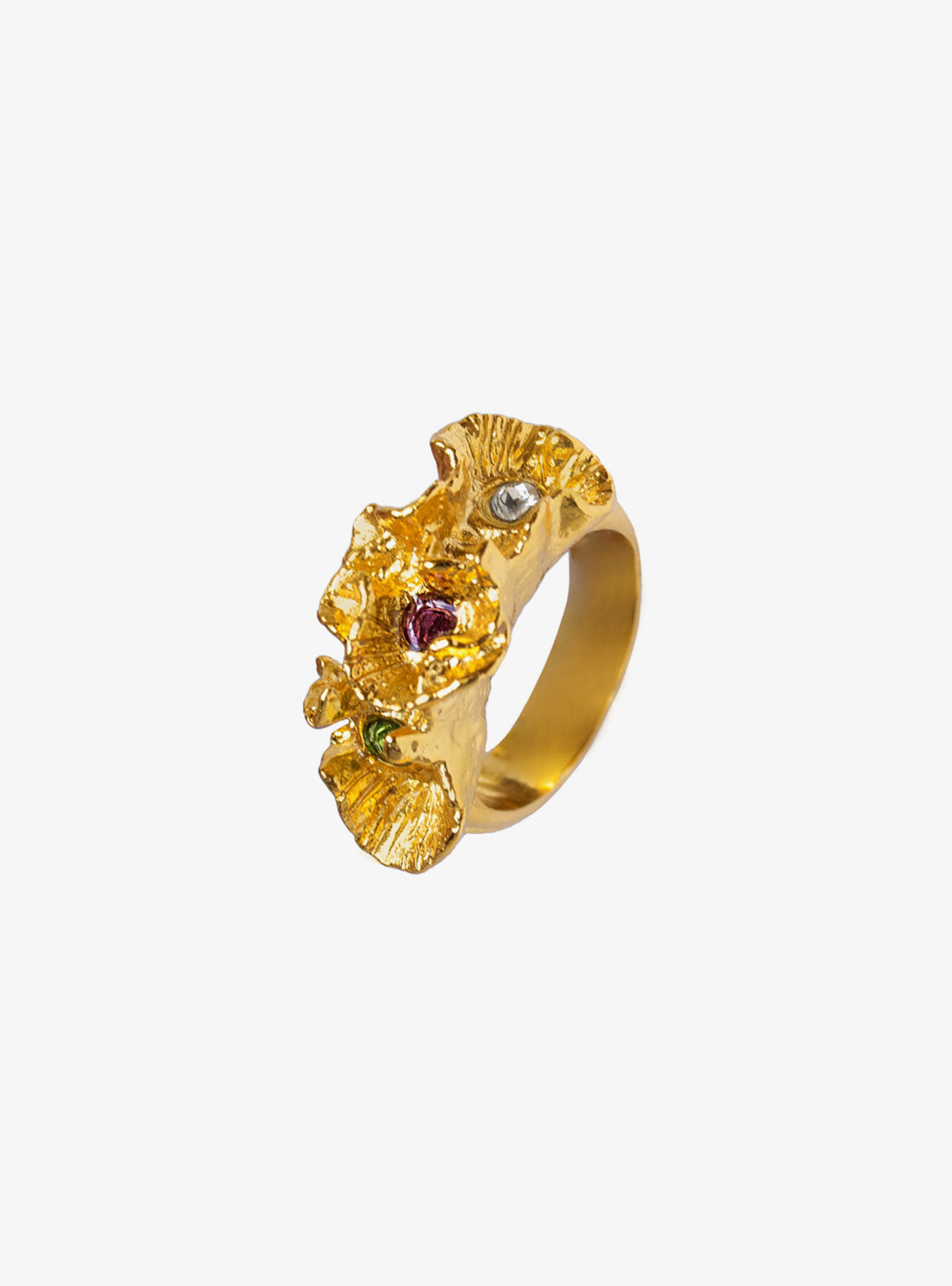 Anillo Ida