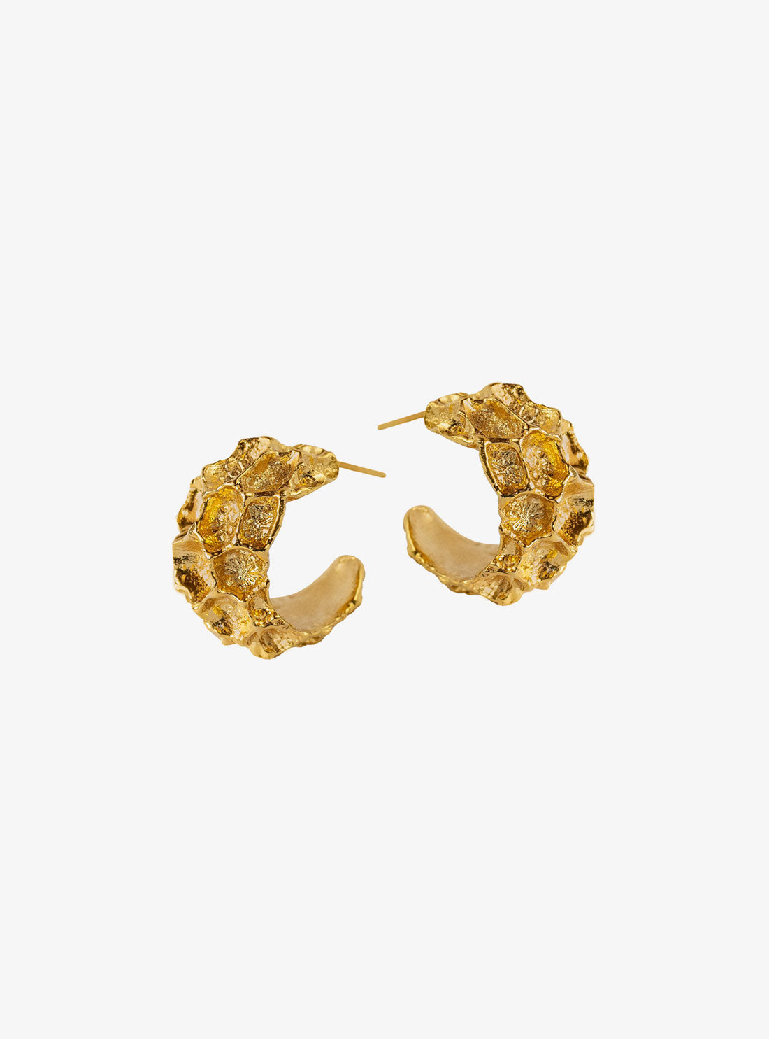 Aretes Alma